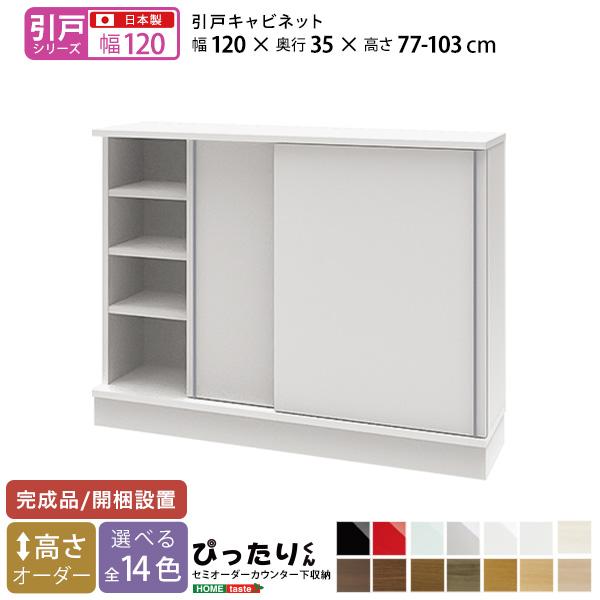 【引戸シリーズ】セミオーダーカウンター下収納ぴったりくん キャビネット 幅120cm×奥行35cmの画像