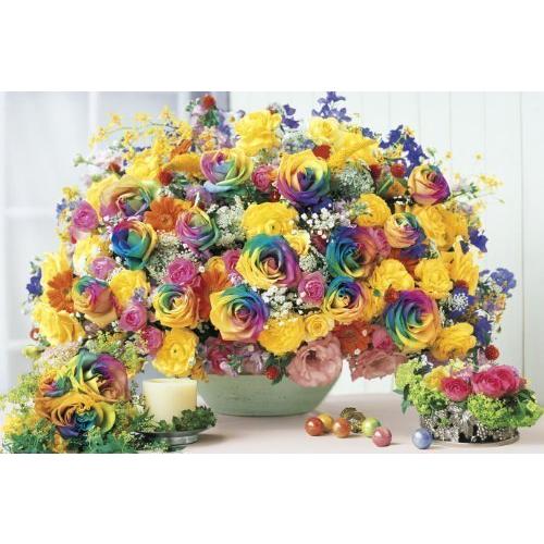 16ピース ジグソーパズル 冷蔵庫 冷凍庫 パズルの超達人 ベリースモールピース 50x75cm 奇跡を起こす レインボー 全国オンラインショップ 奇跡を起こす A B003gy6n26 ベリースモールピース 50x75cm 神奈川本店 予約早割