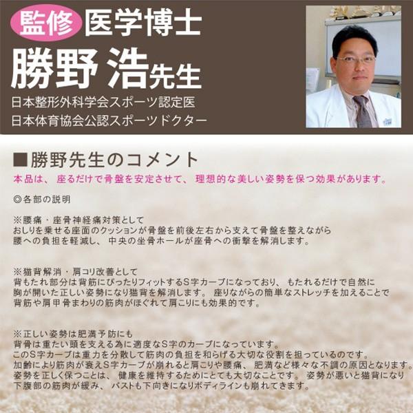 姿勢矯正 椅子 クッション グッズ メンズ 初回限定 レディース 骨盤矯正 座椅子 チェア 勝野式 美姿勢習慣 イス 口コミ