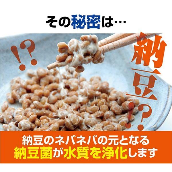 水槽掃除 グッズ ろ過材 浄化装置 コケ 苔 取り 水草 水換え 不要 簡単 口コミ 効果 お魚天国バイオキューブ Sei164 1 美容と健康のミセルyahoo 店 通販 Yahoo ショッピング