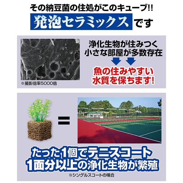 水槽掃除 グッズ ろ過材 浄化装置 コケ 苔 取り 水草 水換え 不要 簡単 口コミ 効果 お魚天国バイオキューブ Sei164 1 美容と健康のミセルyahoo 店 通販 Yahoo ショッピング