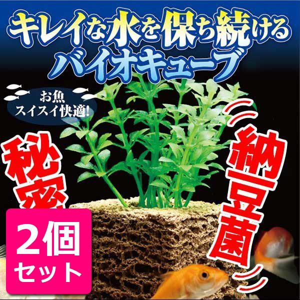 2個セット 水槽掃除 グッズ ろ過材 浄化装置 コケ 苔 取り 現金特価 水草 不要 口コミ お魚天国バイオキューブ 簡単 水換え 効果