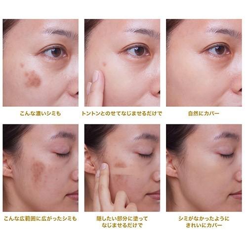 逃げる 害 固執 シミ を 隠す 化粧品 Alandiehl Com