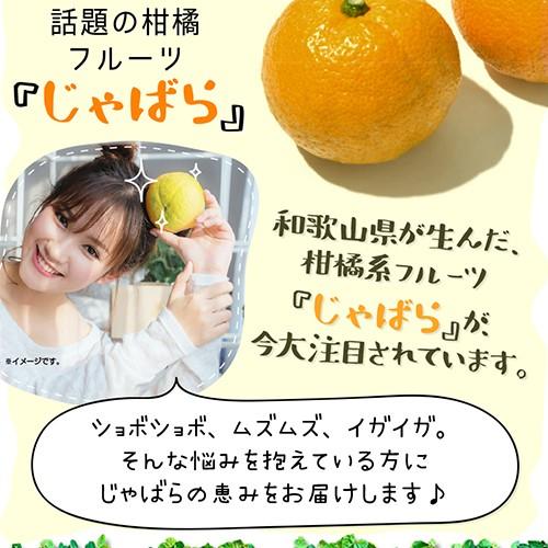 じゃばら 柑橘 ナリルチン サプリ 柑橘 サプリメント 口コミ Healthylife じゃばらガード タブレット 360粒 大容量 Ter24 1 美容と健康のミセルyahoo 店 通販 Yahoo ショッピング