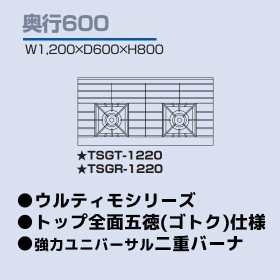 TSGT-1220 タニコー コンロ 2口テーブル 幅1200奥600高800 TSGT-1220 タニコー コンロ 2口テーブル 幅1200奥600高800