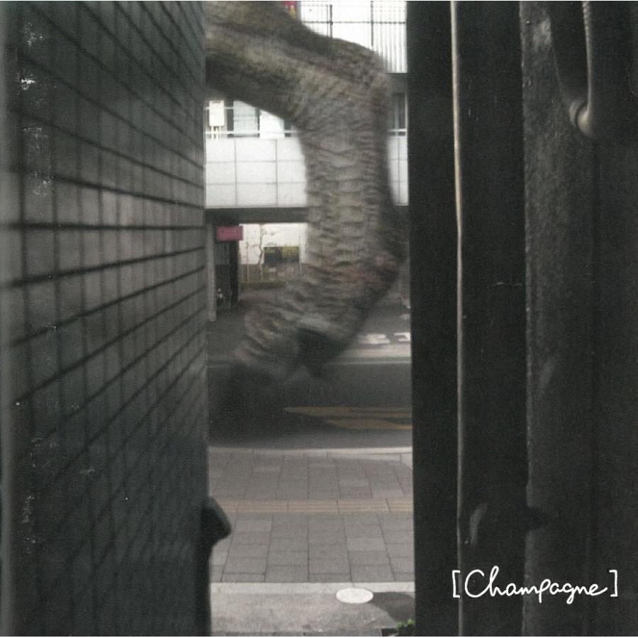 I Wanna Go To Hawaii. / Champagne Alexandros 中古・レンタル落ちCD
