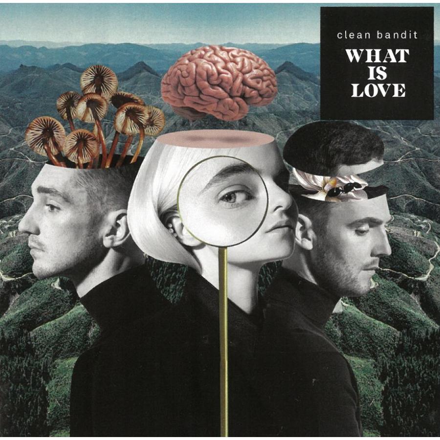 輸入盤 WHAT IS LOVE / Clean Bandit 中古・レンタル落ちCD アルバム