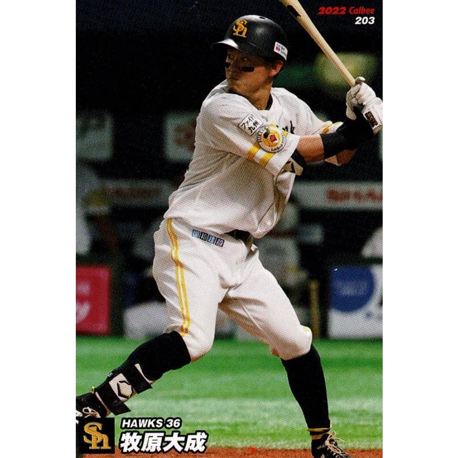 ソフトバンクホークス　牧原大成選手 36 牧原 大成 選手名鑑2022 | 福岡ソフトバンクホークス
