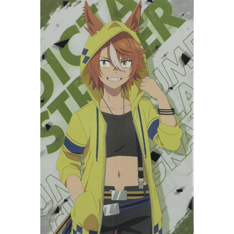 ツインウエハースアニメ『ウマ娘 シンデレラグレイ』 13