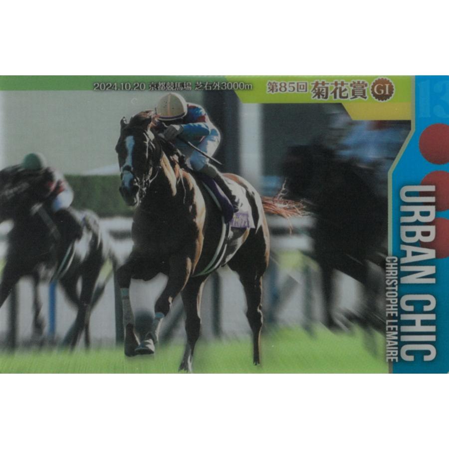 応募券 480枚 サラブレッドホースコレクション 3R 競馬 カード