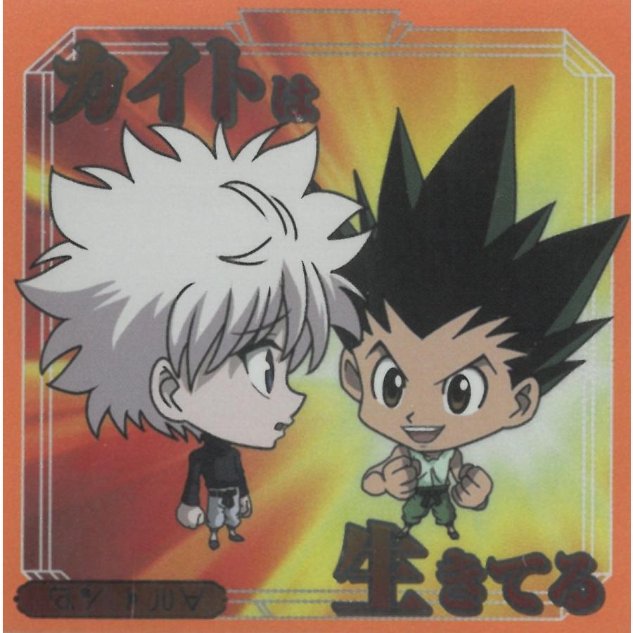 にふぉるめーしょん HUNTER×HUNTER シール×ウエハース vol.9 HH9-11