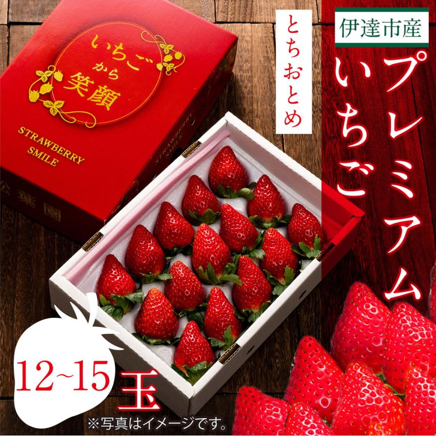 プレミアムいちご　とちおとめ【12〜15玉】（贈答用にも最適）　送料無料（※北海道・中国・四国・九州・沖縄は別途送料がかかります） | 