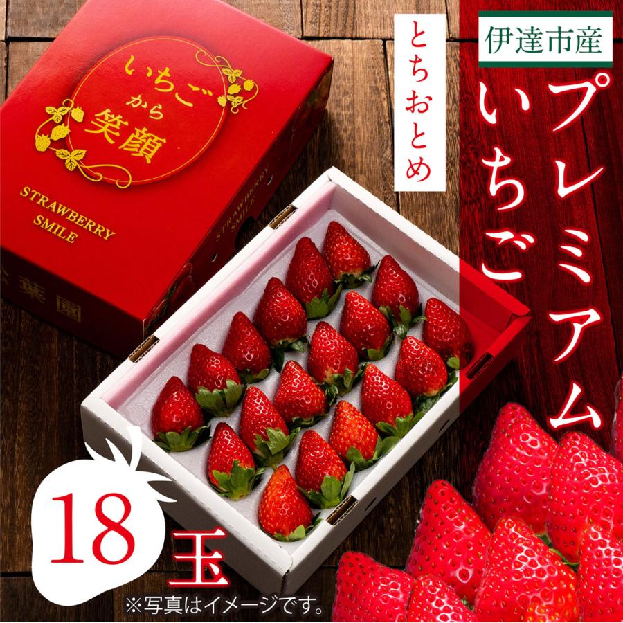 プレミアムいちご　とちおとめ【18玉】（贈答用にも最適）　送料無料（※北海道・中国・四国・九州・沖縄は別途送料がかかります） | 