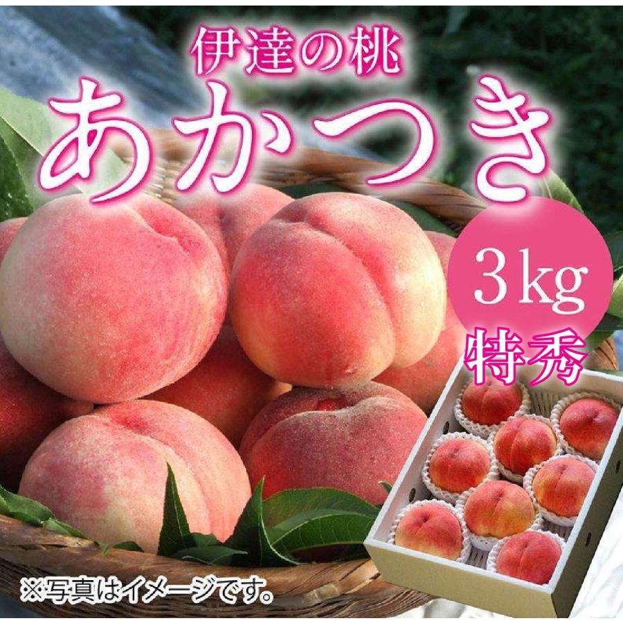 伊達の桃 あかつき 【3kg】8〜11玉 特秀品（贈答用にも最適
