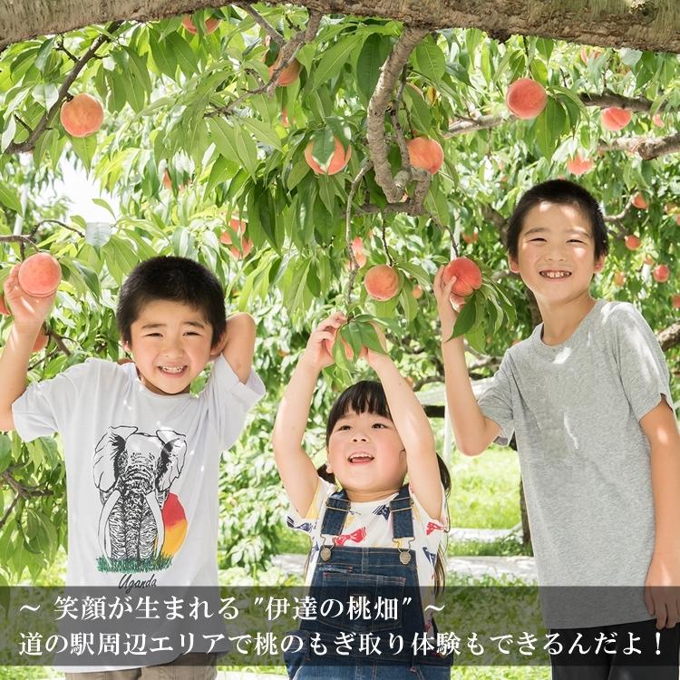 伊達の桃あかつき【3kg】8〜11玉 特秀品（贈答用にも最適）福島県