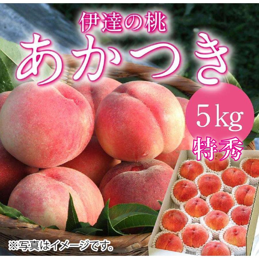 伊達の桃あかつき【5kg】15〜18玉 特秀品（贈答用にも最適）福島県