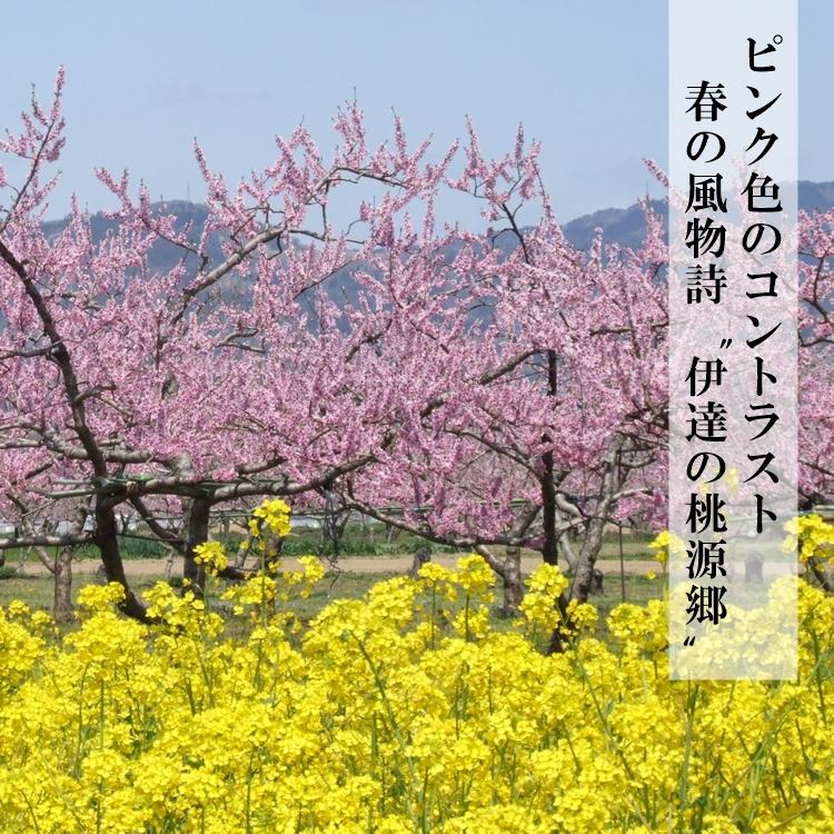 伊達の桃あかつき【5kg】15〜18玉 特秀品（贈答用にも最適）福島県