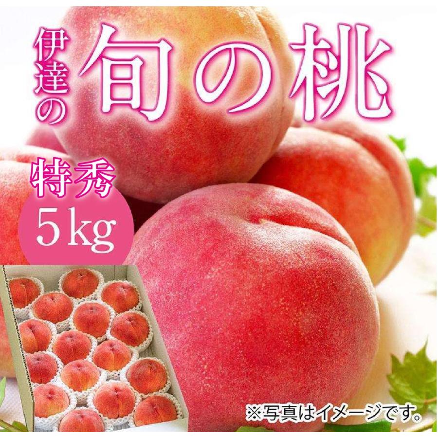 伊達の旬の桃 【5kg】15〜18玉 特秀品（贈答用にも最適） 福島県伊達