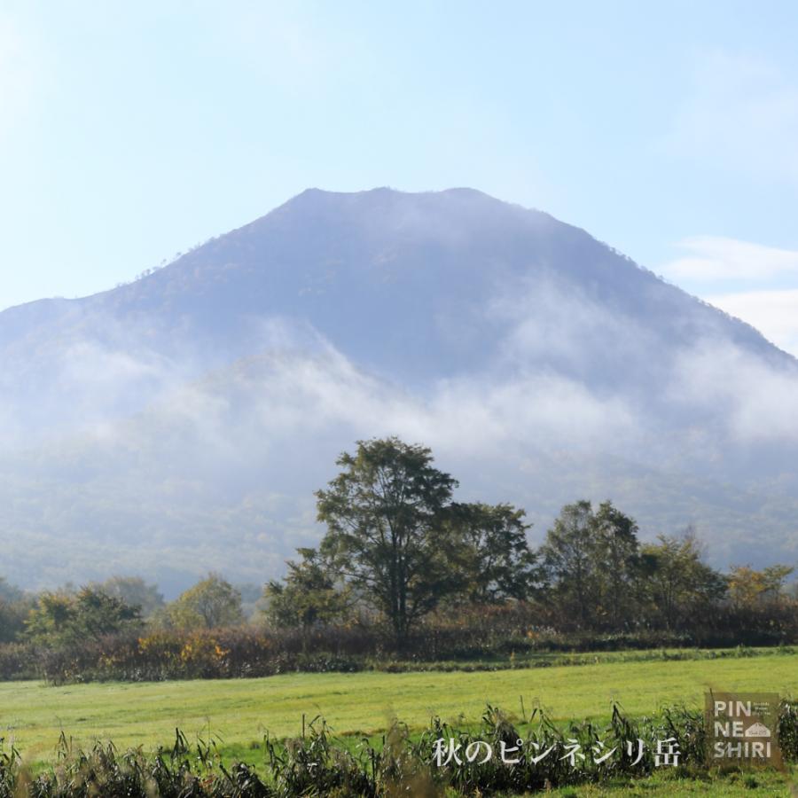 【北海道産】「彩北の滴」 はちみつ チシマアザミ 300g【国産】【蜂蜜】【ハチミツ】【PINNNESHIRI】｜michinoekipinneshiri｜06