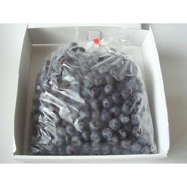 【値下げ中】岩手県産 ブルーベリー 冷凍 5kg 岩手県産】冷凍ブルーベリー500g【加工向け】：岩手県産のブルーベリー