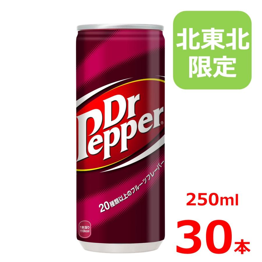 Coca Cola（コカコーラ） ドクターペッパー 250ml缶/30本入り/北海道