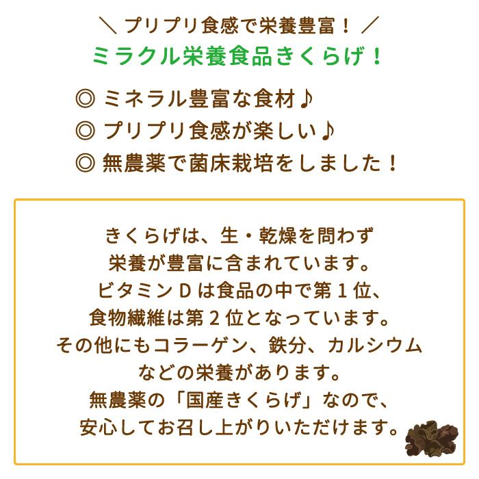 福島県・生きくらげ 1箱(500g×1袋入り)『きわみ』*　菌床栽培　無農薬　ミネラル豊富　食物繊維　送料無料（常温便）｜michinoku｜03