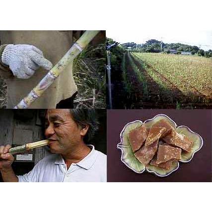 2026年度産 粗糖 生（ザラメ ざらめ）（500gを30袋） 「喜界島の農家からの発送」（きび砂糖 キビ砂糖 キビ糖 きび糖 さとうきび糖） | 道の島農園 | 08