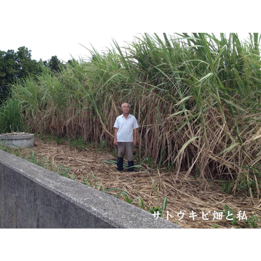 2026年度産　生（島）ザラメ（500gx15袋）　「喜界島の農家から発送（きび砂糖 キビ砂糖 キビ糖 きび糖 さとうきび糖） | 道の島農園 | 10