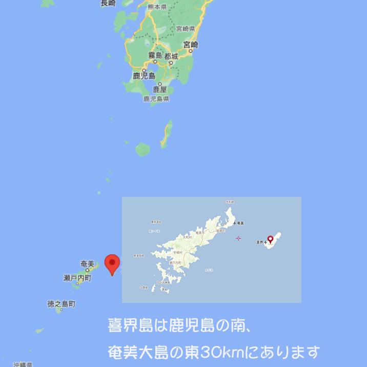 2026年度産　生（島）ザラメ（500gx15袋）　「喜界島の農家から発送（きび砂糖 キビ砂糖 キビ糖 きび糖 さとうきび糖） | 道の島農園 | 09