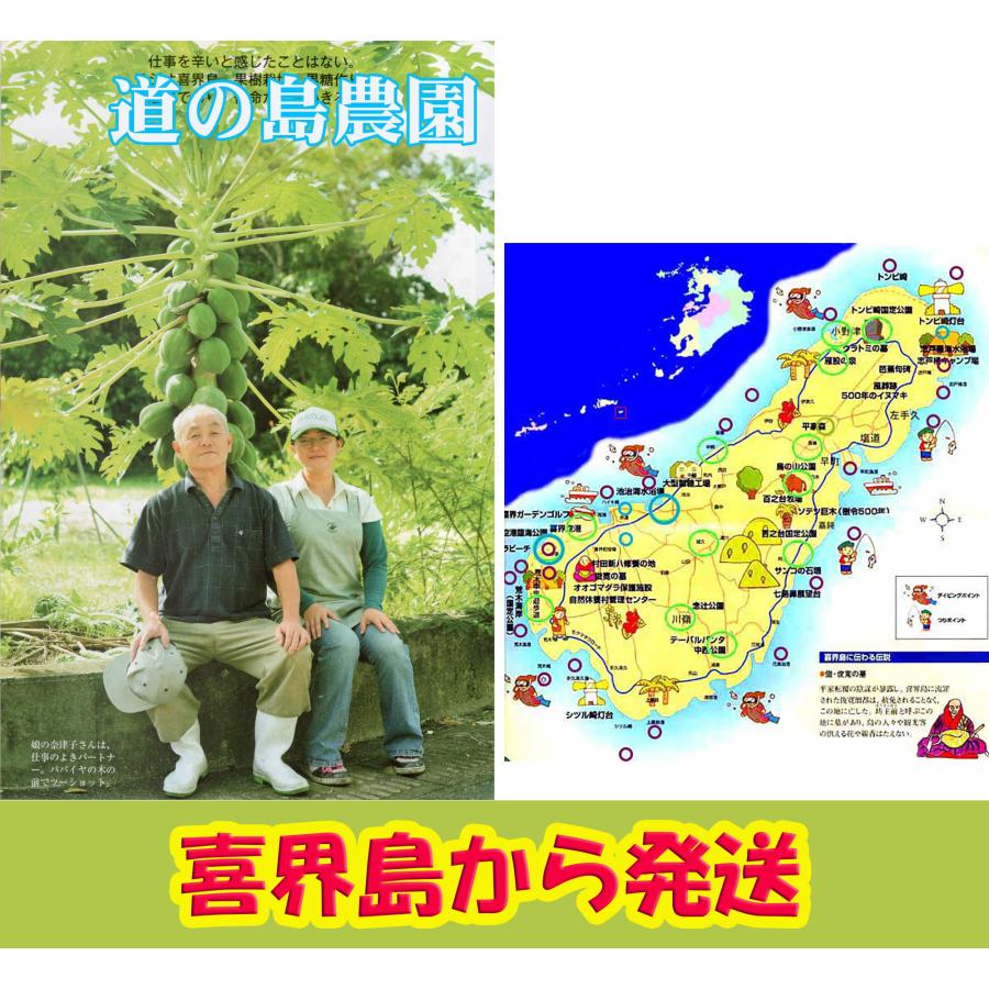 2026年度産 粗糖 生（ザラメ ざらめ） (500g）・「2袋入り」　1回・2セットまで　道の島農園 （きび砂糖 キビ砂糖 キビ糖 きび糖 さとうきび糖） | 道の島農園 | 03