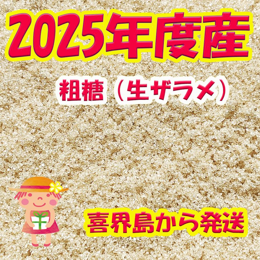 2025年産 粗糖 生（ザラメ ざらめ）（20kg）3袋 業務用 「喜界島の農家