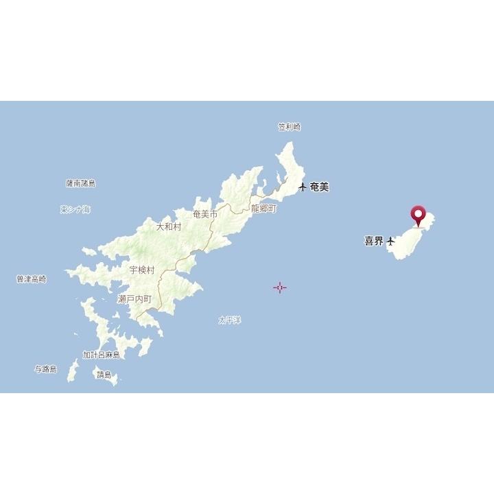 道の島農園 2026年度産 粗糖 生（ザラメ ざらめ）（20kg） 業務用