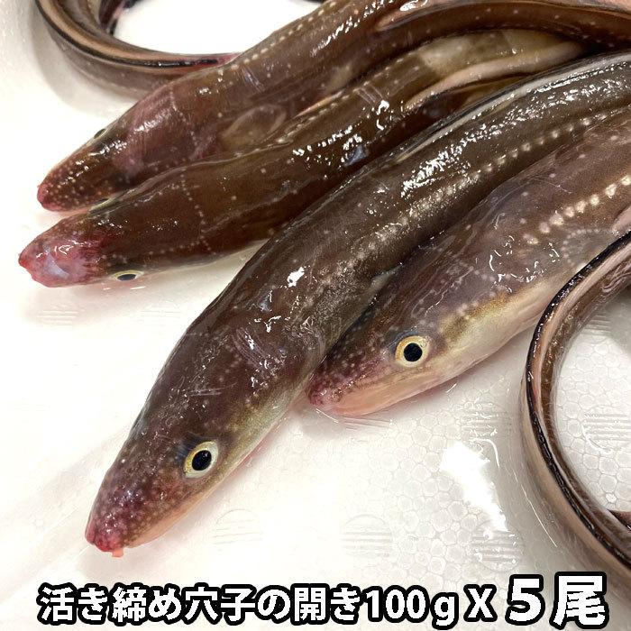 あなご開き 約100gx5尾 長崎産 生 白焼き 煮穴子 レシピ付き 安心発送