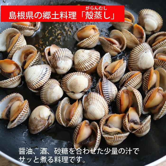 活き サルボウ貝 約1kg 愛知県もしくは韓国産 さるぼうがい｜michinoya｜03