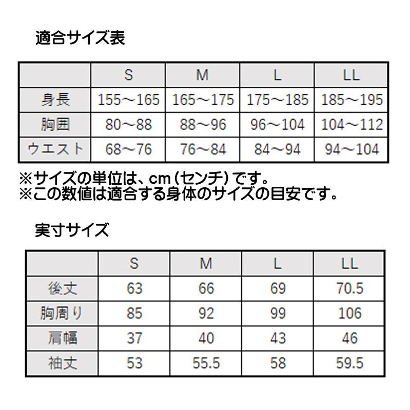 インナー ミズノ mizuno ブレスサーモ アンダーウエア Vネック 9分袖シャツ C2JAA622 中厚ソフト メンズ 保温 裏起毛  ストレッチ 秋冬｜michioshop｜09