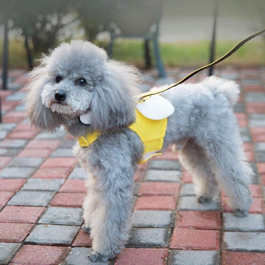 Ledmomo 犬 ハーネス 超小型犬 メール便不可 可愛い ミツバチ ウィング リード ドッグハーネス 犬用ハーネス 抜けない ベストハーネス 胴輪