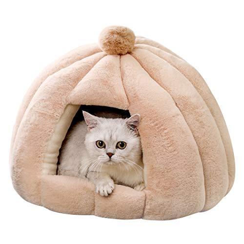 人気ブランドを Bingopaw 猫ベッド ドーム型 洗える 小型犬 寝床 かわいい 丸型 ペットベッド テントハウス 小屋 ふわふわ 通年 耐噛み もこも 全日本送料無料 Www Fedelatina Org