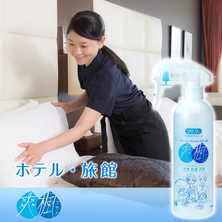 除菌スプレー　除菌水　清掃　消臭　汚れ落とし　静電気防止　アルカリイオン水　300mlの1本 |  | 11