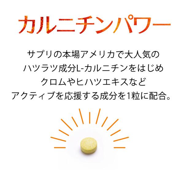 【10％OFF】カルニチンパワー（120粒）3袋セット  L-カルニチン カプサイシン ダイエットサプリメント（AXFEY1-NAR0005*1） | サニーヘルス | 03