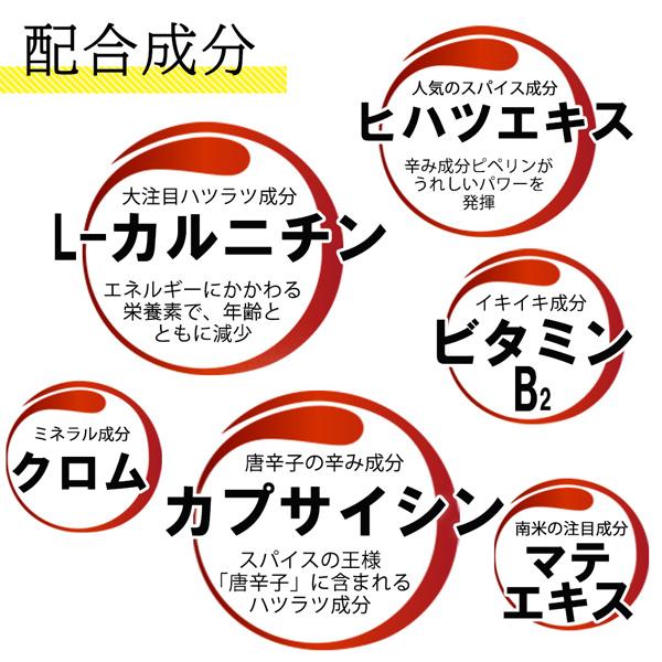 【10％OFF】カルニチンパワー（120粒）3袋セット  L-カルニチン カプサイシン ダイエットサプリメント（AXFEY1-NAR0005*1） | サニーヘルス | 04