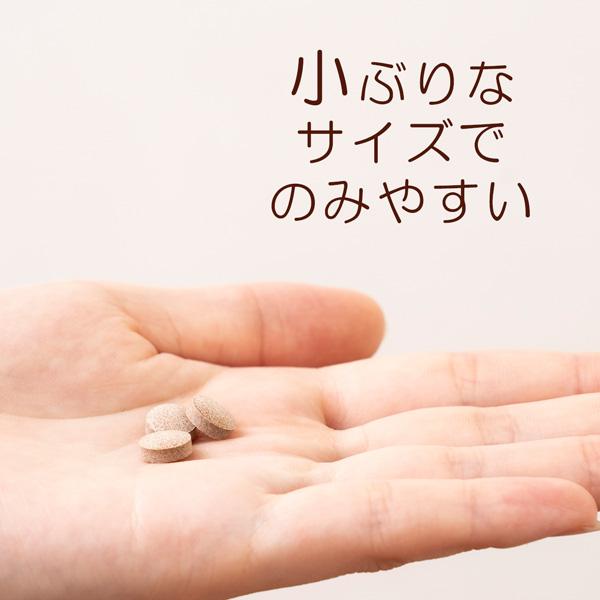 【10％OFF】キトサララ3袋：カロリーセーブスーパーがリニューアル！ サプリメント ギムネマ キトサン サラシア ダイエット （AXFEY1-NCP0016*3） | サニーヘルス | 05