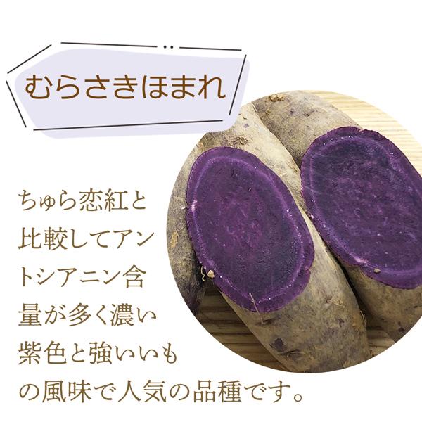 サニーヘルス 【限定生産】マイクロダイエット 宮古島産 紫いも サニーヘルス 【限定生産】マイクロダイエット 宮古島産 紫いも