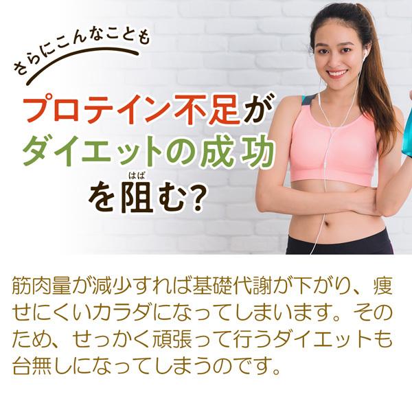 【限定生産】マイクロダイエットふらのメロン（AXFEＹ1-NAN0034) | サニーヘルス | 08