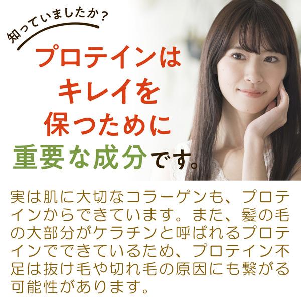 【限定生産】マイクロダイエットふらのメロン（AXFEＹ1-NAN0034) | サニーヘルス | 09