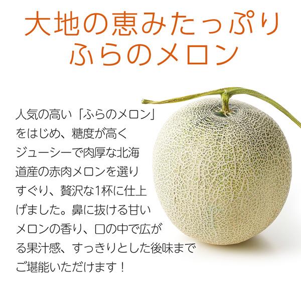 【限定生産】マイクロダイエットふらのメロン（AXFEＹ1-NAN0034) | サニーヘルス | 02