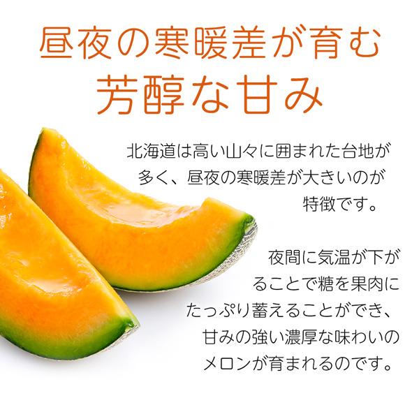【限定生産】マイクロダイエットふらのメロン（AXFEＹ1-NAN0034) | サニーヘルス | 03