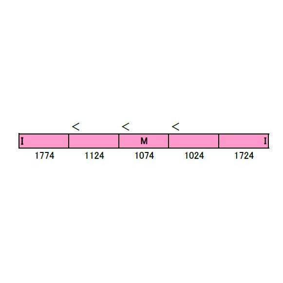 京王1000系（5次車 サーモンピンク）5両編成セット（動力付き） 【30894】｜mid-9｜02