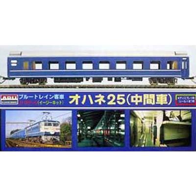 (未組立プラモデル)　客車 No.3 オハネ25    【マイクロエース・704035】 | 