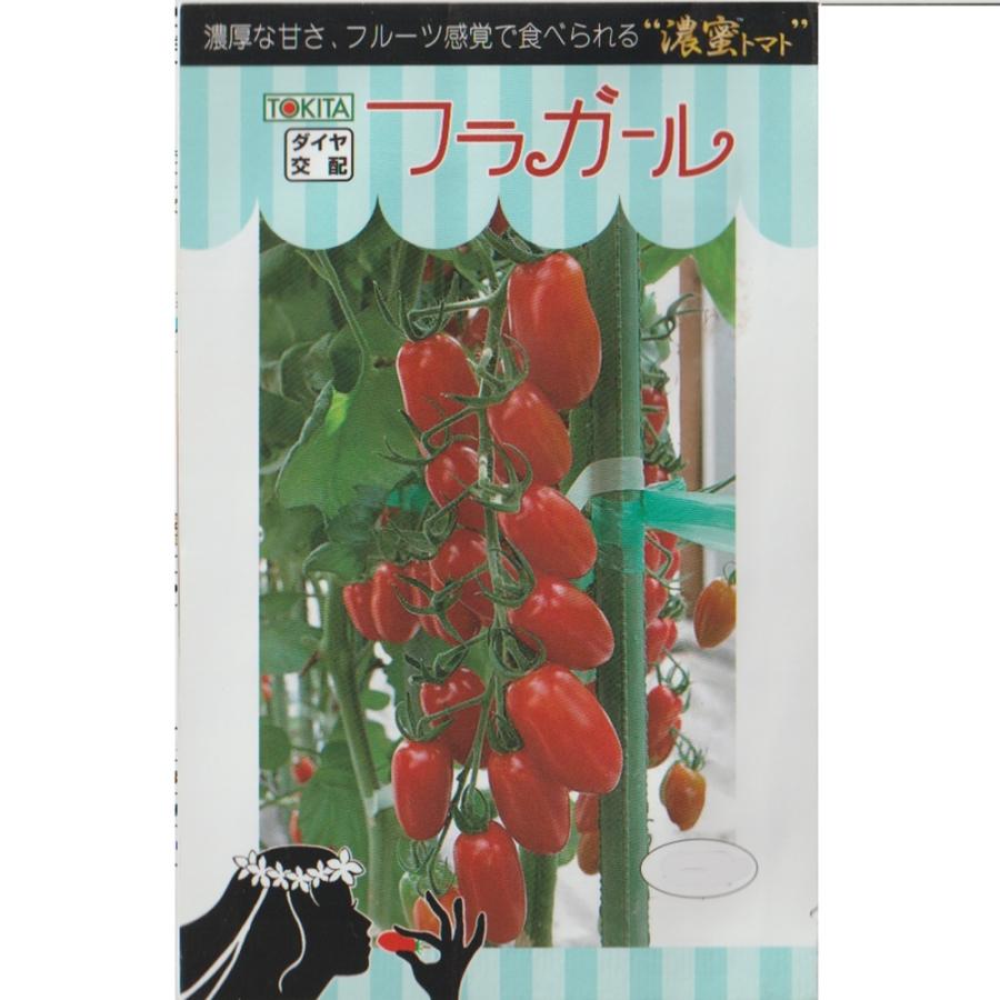 ミニトマト　フラガール | 