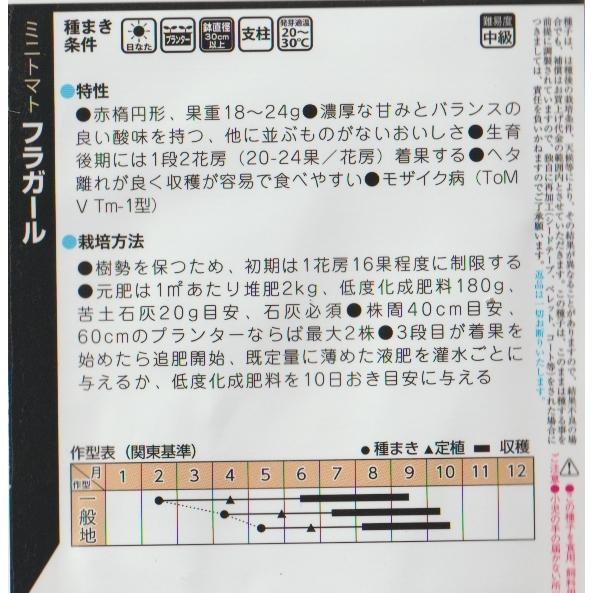 ミニトマト　フラガール |  | 01